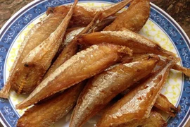 Đặc sản cá đùi gà 1 nắng Nghệ An làm giả từ cá nóc: Sự thật kinh hoàng?