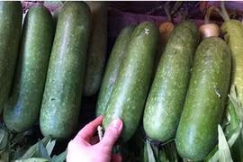 Sai lầm chết người về giảm cân bằng nước ép bí đao