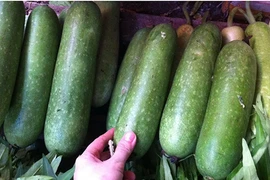 Sai lầm chết người về giảm cân bằng nước ép bí đao