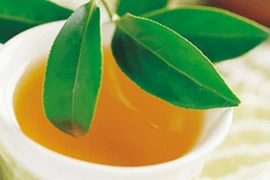 8 công thức dùng lá chè xanh rất đơn giản