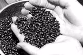 Chữa bệnh phụ nữ bằng đậu đen 