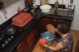 Ổ bệnh kinh hoàng trong bồn rửa bát