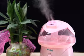 Vệ sinh máy phun ẩm để tránh nhiễm khuẩn