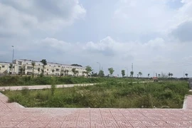 Hà Nội xử lý nghiêm, công khai người “bỏ cọc” đấu giá đất