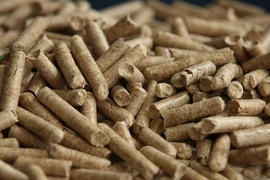 Gom cành cây gãy đổ do bão làm gỗ vụn thu về tiền tỷ