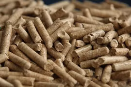 Gom cành cây gãy đổ do bão làm gỗ vụn thu về tiền tỷ