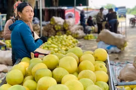 Tấp nập phiên chợ được nhuộm bằng màu vàng bưởi chín ở Hà Tĩnh