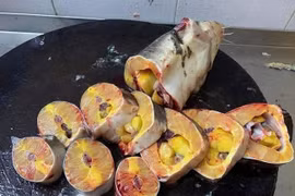 Cá tầm được bán siêu rẻ trên chợ mạng từ 49 nghìn đồng/con