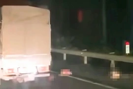 Xe tải tông hai mẹ con trên cao tốc: Tài xế có phải chịu trách nhiệm?