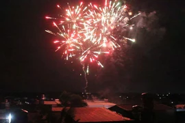 Tết Nguyên đán 2025: Người dân đốt pháo hoa thế nào để không bị phạt?