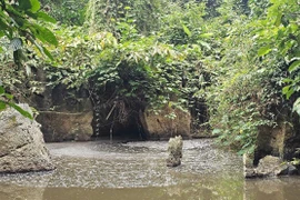 Nước suối Lèn Cò Noóng bị ô nhiễm từ nước thải trang trại lợn