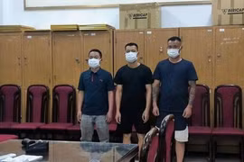 Nhóm "lợn rừng" có dấu hiệu "bảo kê" xây dựng hoạt động ra sao?