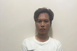 Bắt đối tượng đập hàng loạt kính ô tô, trộm tài sản ở Bắc Giang