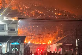 Phó Thủ tướng Trần Hồng Hà chỉ đạo khẩn sau 2 vụ cháy rừng ở Quảng Ninh