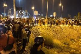 Con trâu đực cào chân xuống đất tố tội ác kinh hoàng trong bụi rậm