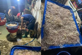 Tiêu huỷ hàng tấn bắp chuối, rau muống bị ngâm hoá chất độc hại