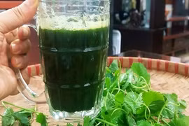 Nước rau má giải nhiệt mùa nóng nhưng uống kiểu này chỉ hại thân 