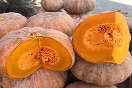 Không phải mì tôm, đây mới là thực phẩm cần tích trữ nếu tiếp tục cách ly