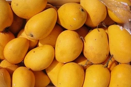 Mẹo đơn giản nhận biết xoài chín tự nhiên hay chín ép bằng hóa chất