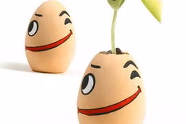 Lý do bạn nên ăn trứng mỗi ngày