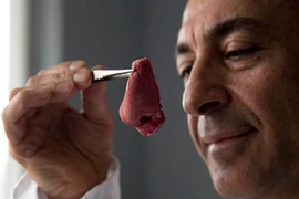 Công nghệ tái tạo tai, mũi cho bệnh nhân ung thư