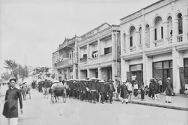 Thêm những hình ảnh độc lạ xuất khẩu lao động ở Hải Phòng thập niên 1920