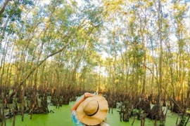 Những điểm đến làm say lòng người ở An Giang