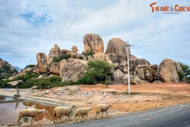 Lặng nhìn bức tranh phong cảnh đẹp ngơ ngẩn của Ninh Thuận