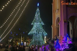 Không khí giáng sinh ở nhà thờ cổ nổi tiếng nhất Đà Lạt