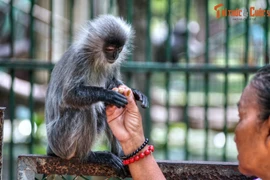 'Bật ngửa' 14 sự thật về Thảo Cầm Viên Sài Gòn