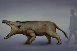 Cận cảnh loài thú ăn thịt lớn nhất từng tồn tại trên quả đất 