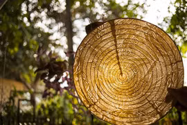 Nữ du khách nước ngoài lý giải vì sao người Việt đội nón lá