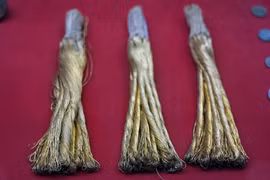 Kỷ vật của phong trào cách mạng trước ngày Việt Nam độc lập