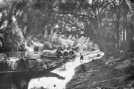 Loạt ảnh hiếm trăm tuổi về sông An Cựu ở Cố đô Huế xưa