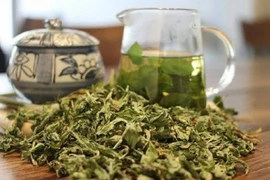 Loại lá tươi cho không ai lấy, đem phơi khô bán 400.000 đồng/kg