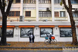 Check-in “Con đường lá vàng” tuyệt đẹp bên ngoài Báo Nhân Dân