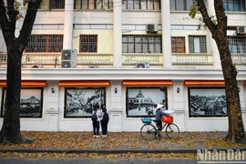 Check-in “Con đường lá vàng” tuyệt đẹp bên ngoài Báo Nhân Dân