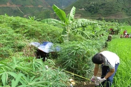 Lộ diện kẻ sát hại người phụ nữ độc thân từ vết thương ở khuỷu tay