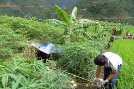 Lộ diện kẻ sát hại người phụ nữ độc thân từ vết thương ở khuỷu tay