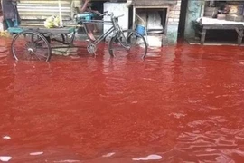 Ấn Độ trải qua 'mưa máu' hai tháng liên tiếp, điềm báo của thảm họa? 