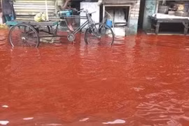 Ấn Độ trải qua 'mưa máu' hai tháng liên tiếp, điềm báo của thảm họa? 