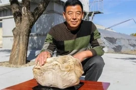 Vô tình đào được 'tảng đá' chục tỷ, Tần Thủy Hoàng từng khao khát