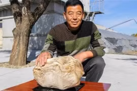 Vô tình đào được 'tảng đá' chục tỷ, Tần Thủy Hoàng từng khao khát