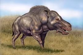 Loài lợn ăn thịt đáng sợ nhất từng tồn tại trên quả đất