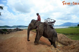 Loạt khoảnh khắc khó quên trên các cung đường Tây Nguyên