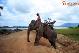 Loạt khoảnh khắc khó quên trên các cung đường Tây Nguyên