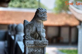 Những bí mật ít người biết về linh vật sư tử thuần Việt