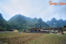 Lạc lối giữa vẻ đẹp nguyên sơ của Phố Cáo Hà Giang