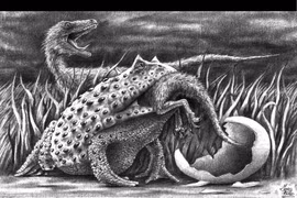 Loài ếch "ma quỷ" đáng sợ nhất thế giới, nuốt chửng cả khủng long