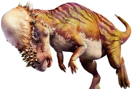 Cận cảnh loài khủng long “cứng đầu” nhất từng tồn tại